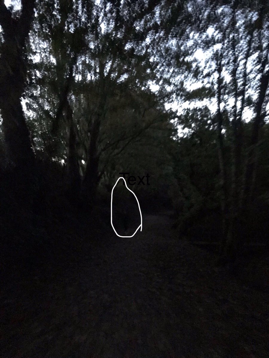 albutterill's tweet photo. So today I did 5k. I walked some bits but happy with my time. Beautiful views but caught out by how quickly it went dark. Highlighted is a man running towards me. When I took it I had no idea ๐คฆโโ๏ธ #runeveryday #RonHill #takeatorch https://t.co/fSgdYonpNj