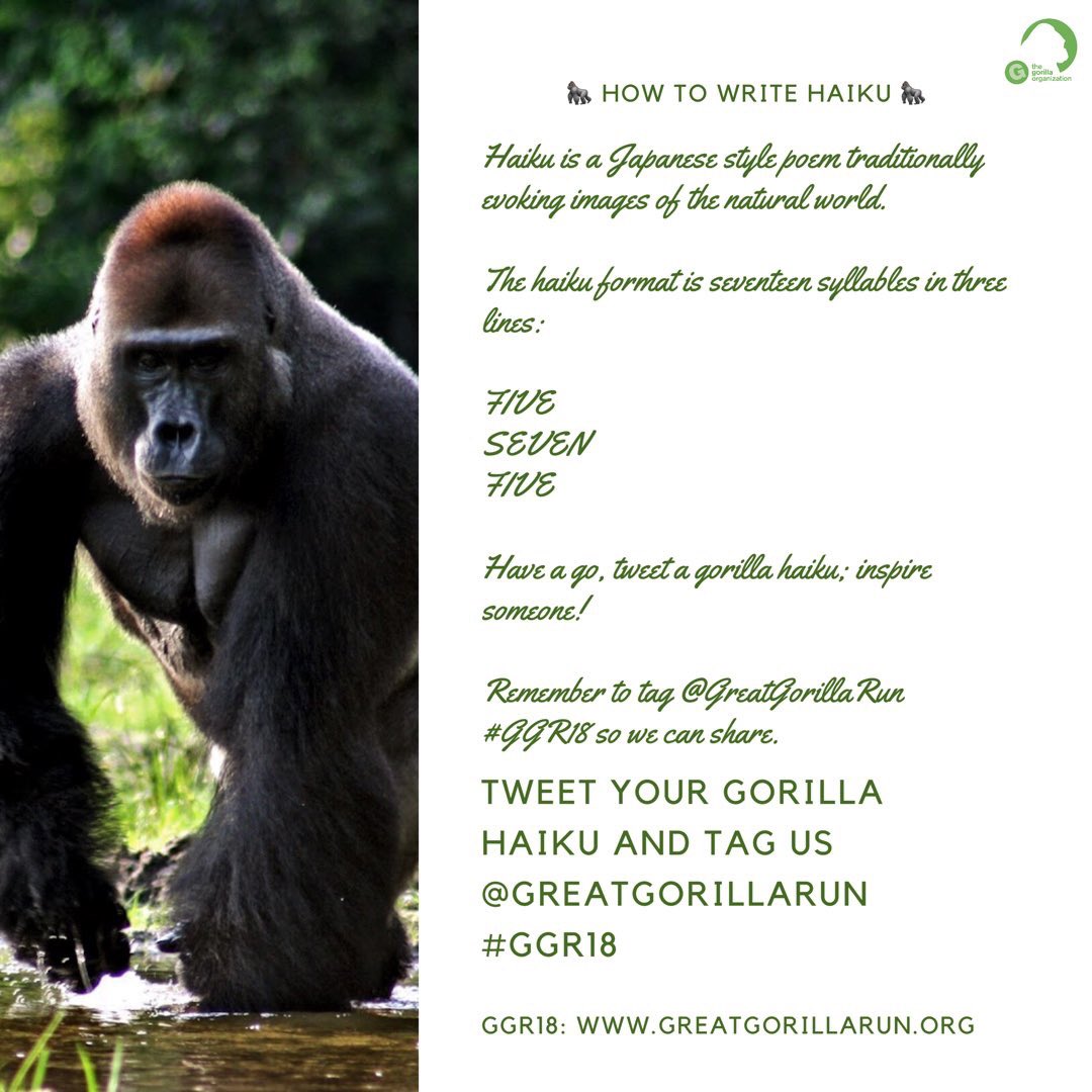Throwback Thursday! #GGR18 #Gorilla #Haiku 

Some of the poems that came through from our younger #GorillaLovers 🦍🌹

Find out about adopting a gorilla; a fun &amp; educational gift for #gorilla lovers: bit.ly/2MoyM7a

#NationalPoetryDay #NationalPoetryDay #WorldAnimalDay