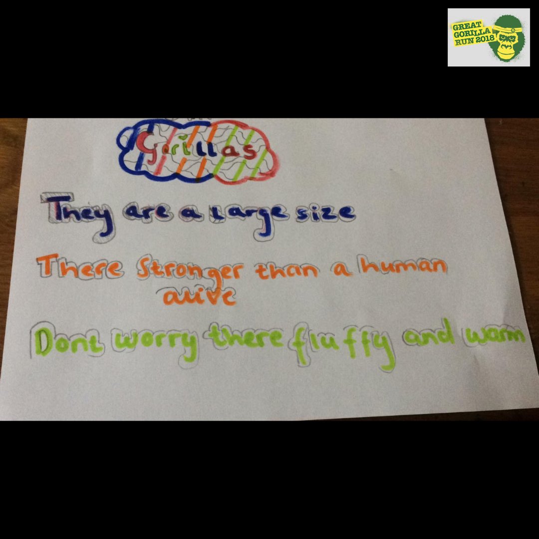 GreatGorillaRun's tweet photo. Throwback Thursday! #GGR18 #Gorilla #Haiku 

Some of the poems that came through from our younger #GorillaLovers 🦍🌹

Find out about adopting a gorilla; a fun &amp; educational gift for #gorilla lovers: https://t.co/ZL5B2WX6gg

#NationalPoetryDay #NationalPoetryDay #WorldAnimalDay https://t.co/DLQay9W9Mv