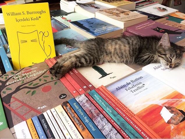 “Kedilerimle aramdaki ilişki beni ölümcül ve her şeye nüfuz eden bir cehaletten kurtardı.” William S. Burroughs - İçerdeki Kedi.

#HayvanlarıKorumaGünü #CanDostlarımızınYanındayız