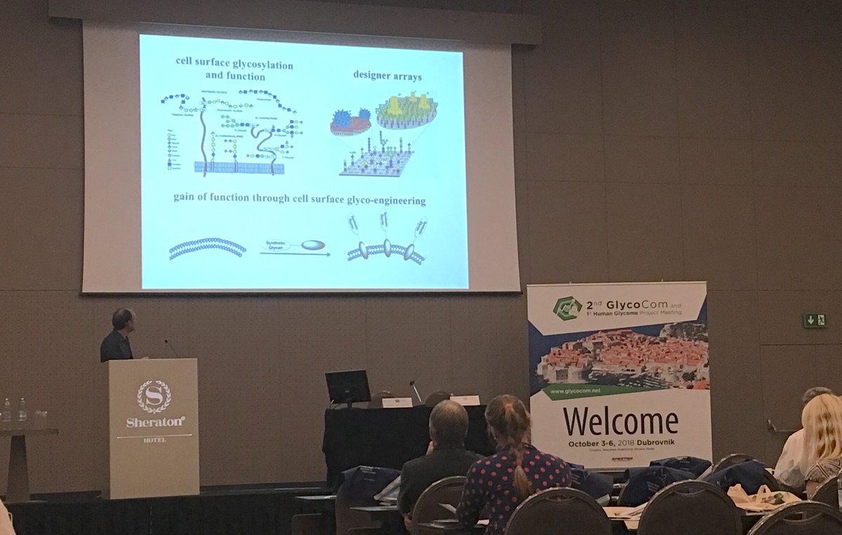 Geert-Jan Boons speaking about their approach to produce a systematic glycome and designer glyco-arrays #GlycoCom2018 #HumanGlycomeProject