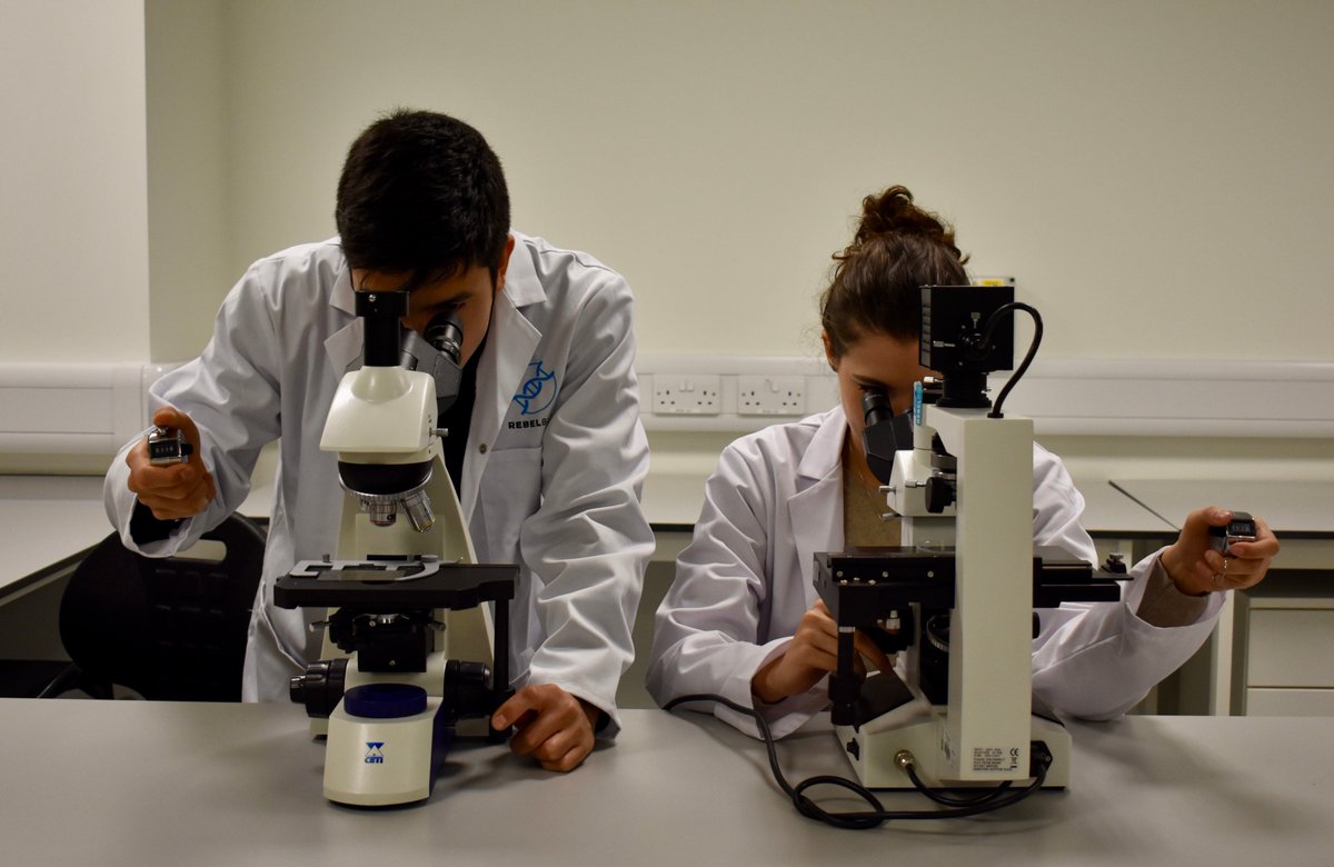 RebelBio's tweet photo. Bored of counting cells? Hours &amp; hours of time are wasted by MSc's, PhD's, Post docs, technicians... in #counting manually. @cellari_io have the best, easiest to use, top range software on the market to compress hours into minutes. #Automate the way you do #science &amp; #research https://t.co/ZsK6E3Ofvr