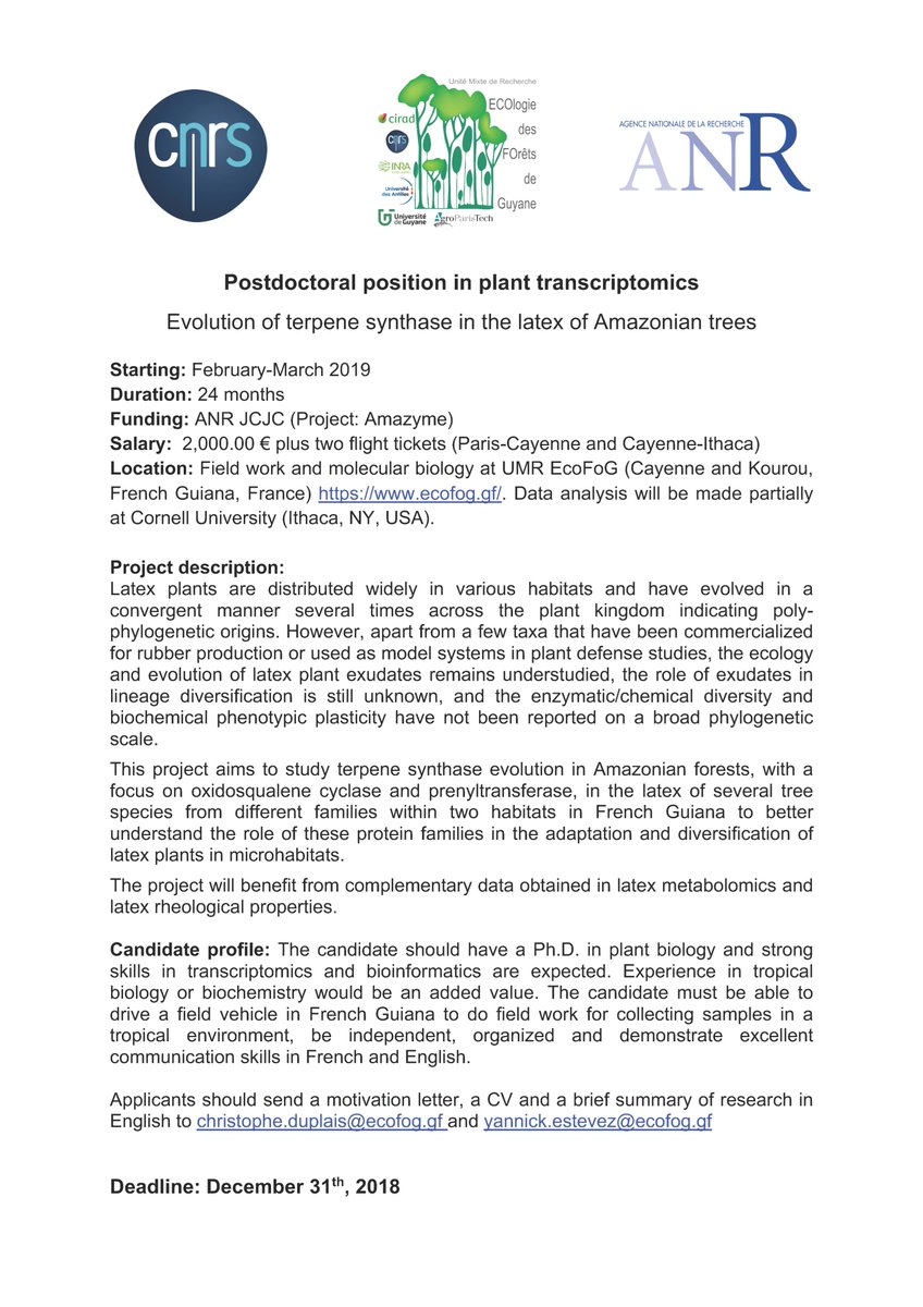 Chemistophe's tweet photo. 📣 Offre de postdoctorat (2 ans) en #transcriptomique des arbres à latex d'#Amazonie pour notre projet @ANR JCJC AMAZYME (#Evolution des terpène synthases)
Merci pour la diffusion 😃 @EDB_Lab @LabEx_TULIP @BBVEA2106_Tours @Francois_Parcy @freddelsuc @LoicLepiniec @laboratoire_ese https://t.co/dDBRggRjbR