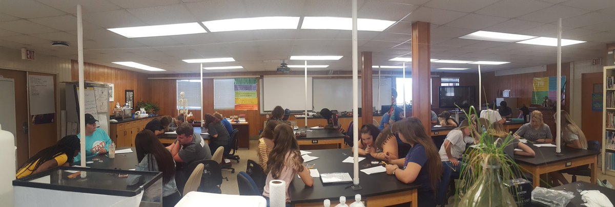 StemSau's tweet photo. SAU Intro To Ed making observations @StemSau #saustem #rollypollyfun https://t.co/Nq65i582jh