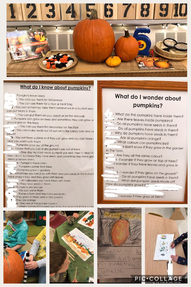 Kait_Coutts's tweet photo. Pumpkins are something we can ALL get excited about @MuskBeechgrove #tldsblearns https://t.co/bxi8NSNqje