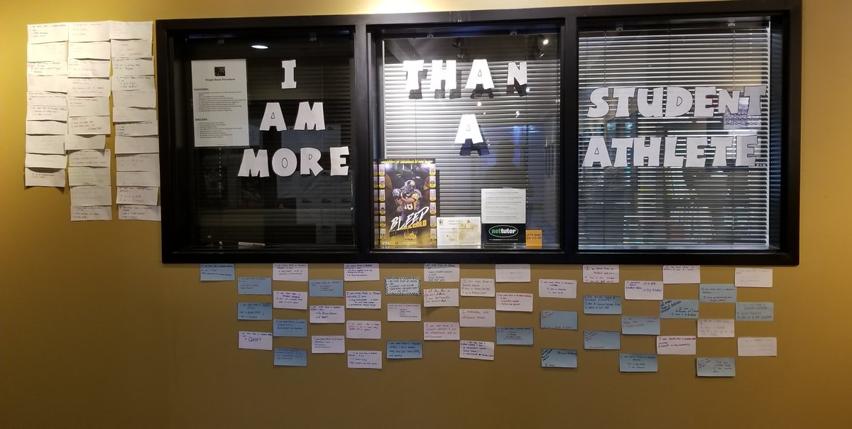 UAPBLionsRoar's tweet photo. Since Title IX was passed, participation opportunities for both women and men have increased every year #NCAAInclusion #saac @UapbSaac @SWACSAAC @Div1SAAC #uapb #swacsaac https://t.co/SAsyd347cN