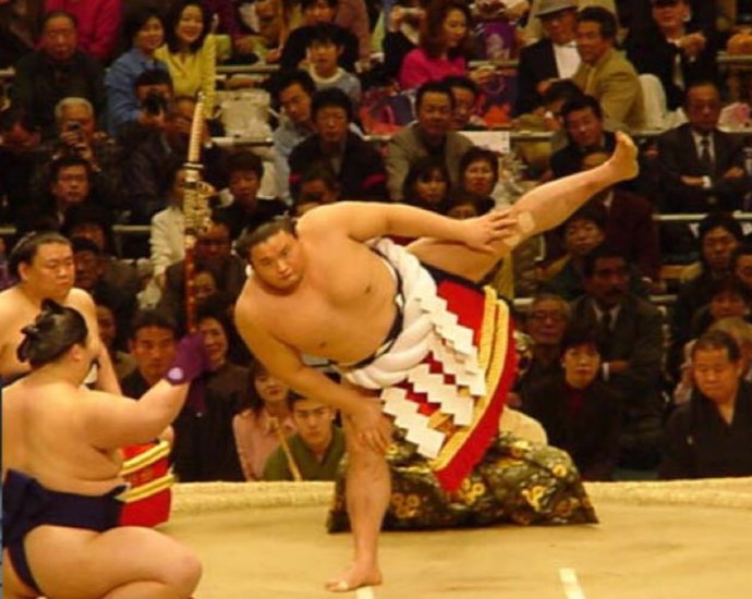 貴乃花土俵入り 印刷用】新旧横綱が土俵入り | スポーツニュース | 四国新聞社