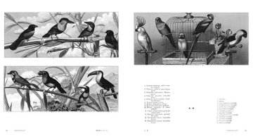 紫紅社 精密イラスト 植物画 動物画コレクション 19世紀ヨーロッパの博物図鑑より植物学 動物学 にかかわる学術イラスト10点以上を収録 精密な学術イラストは 資料としてだけでなく 様々なアートやグラフィックデザイン 手芸 工芸などの図案 紫紅社 精密イラスト 植物画 動物画コレクション 19世紀ヨーロッパの博物図鑑より植物学 動物学 にかかわる学術イラスト10点以上を収録 精密な学術イラストは 資料としてだけでなく 様々なアートやグラフィックデザイン 手芸 工芸などの図案