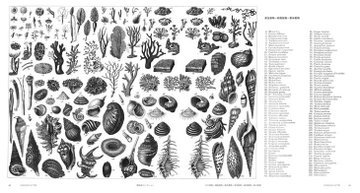 紫紅社 精密イラスト 植物画 動物画コレクション 19世紀ヨーロッパの博物図鑑より植物学 動物学 にかかわる学術イラスト10点以上を収録 精密な学術イラストは 資料としてだけでなく 様々なアートやグラフィックデザイン 手芸 工芸などの図案 紫紅社 精密イラスト 植物画 動物画コレクション 19世紀ヨーロッパの博物図鑑より植物学 動物学 にかかわる学術イラスト10点以上を収録 精密な学術イラストは 資料としてだけでなく 様々なアートやグラフィックデザイン 手芸 工芸などの図案