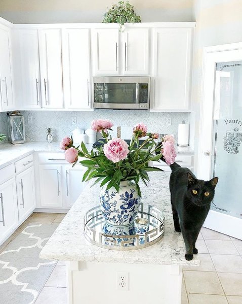 Silestone's tweet photo. #Silestone is extremely scratch resistant, making it durable enough for the paws of our furry friends. Jordana Designs incorporates Silestone Pietra, adding texture and color to her bright kitchen. https://t.co/ELe2Z3ALlR