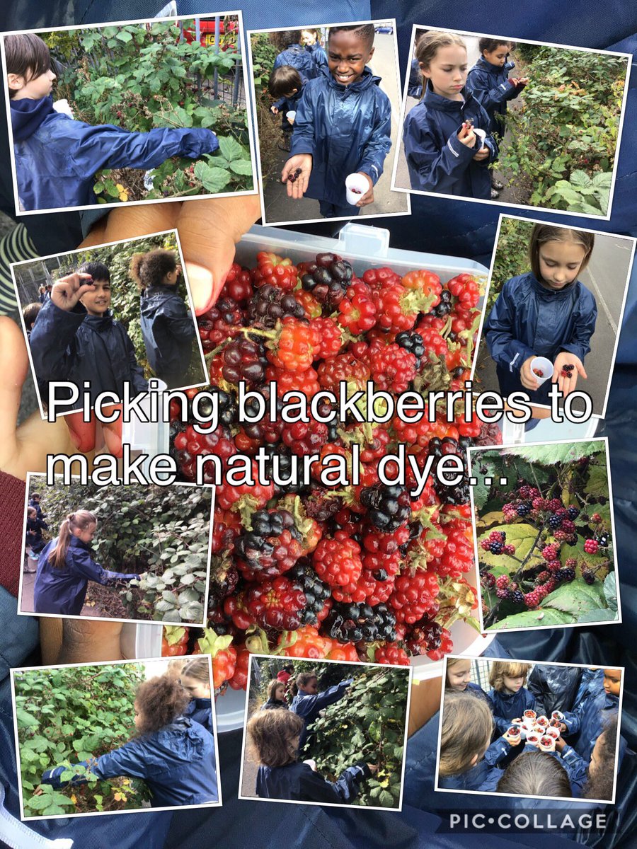 MoorlandPrm's tweet photo. Another amazing afternoon with Year 5 Oak Group. Great listening skills to follow instructions #blackberrypicking #whittling #campfirecooking #twistbread https://t.co/N504Fxt68S