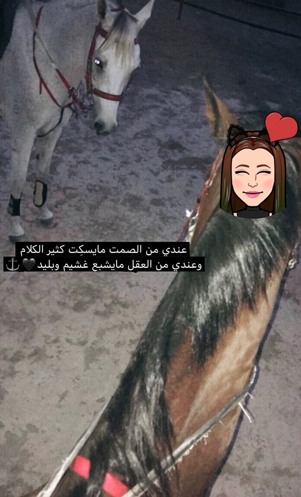 نجمه سهيل  💫🇶🇦 tweet media