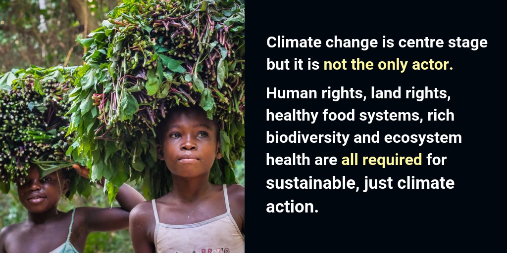 ciel_tweets's tweet image. What role can ecosystems, rights, and food systems play in achieving the 1.5°C goal? Upcoming @CLARA_Alliance report #MissingPathways shows that the right action in the land sector will be more effective than unproven technologies such as #BECCS #1o5C #SR15