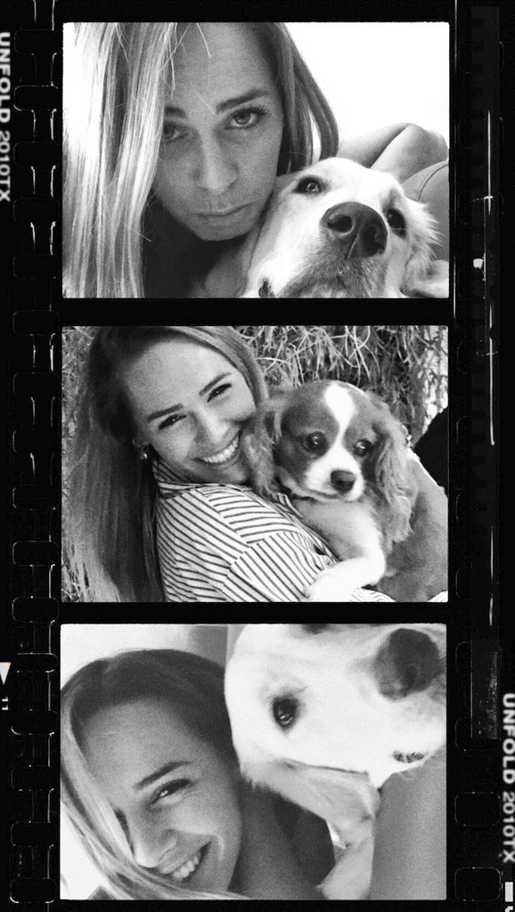 Felix, engelli minik dostlarımızın özgürce hareket edebilmesi için yürüteç desteği sağlıyor. #SendePatile etiketiyle tweet atıp sen de engelli minik dostlarımıza destek olup, farkındalık yaratabilirsin <a href="/FelixTurkiye/">Felix Türkiye</a> <a href="/damlacan_/">Damlacan</a> 💛

#DamlaCan #DCFC