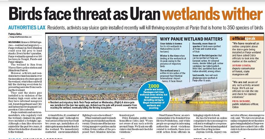 NaviMumbaiWetl1's tweet photo. #savePanje #saveBirds #saveUran
@CMOMaharashtra @SMungantiwar @GreenStalin @mangrovesindia @Indian_Rivers https://t.co/vXrsYlWSWg