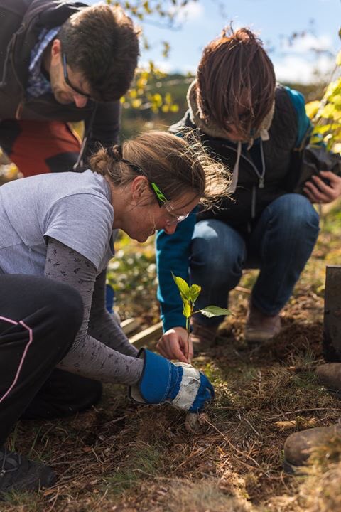 supportVSA's tweet photo. Thank you to the team from @Shell who were hard at work at the farm today on the new path. They even got to plant their own trees :) We're simply blown away by all the support we've had and look forward to seeing this area evolve. #supportvsa #corporatevolunteering https://t.co/lrISSzjLVu