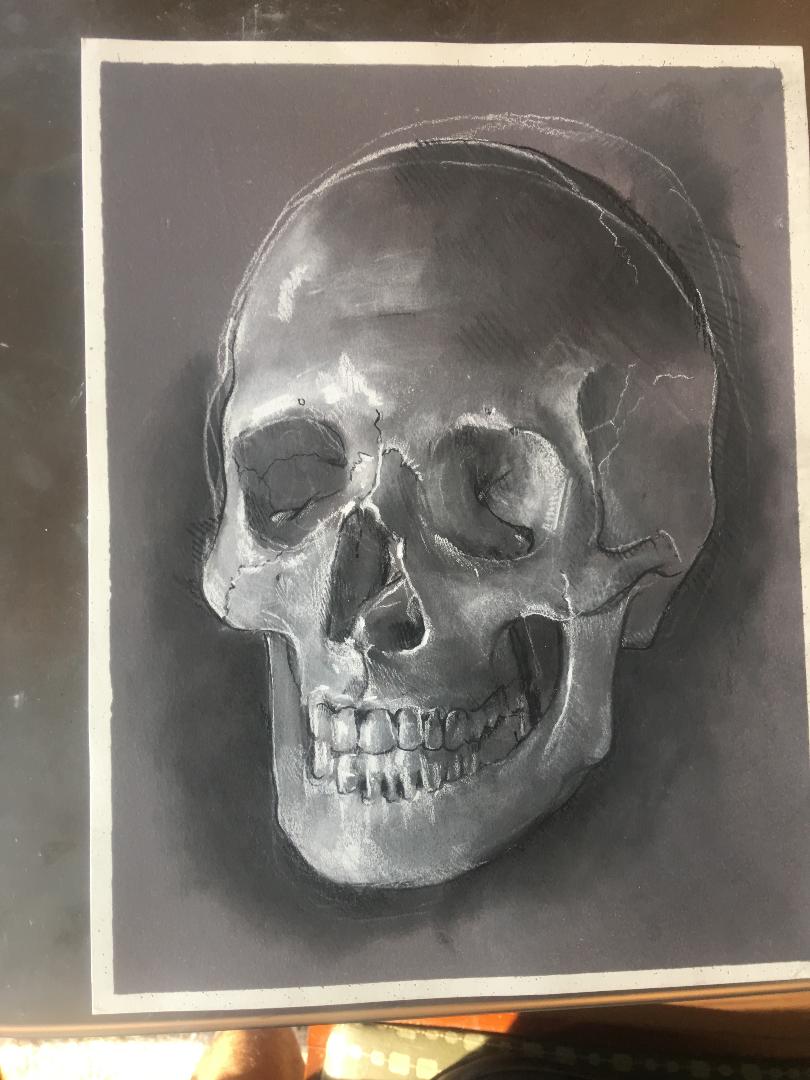 Gavinart's tweet photo. #skull study https://t.co/4B0437nwnm