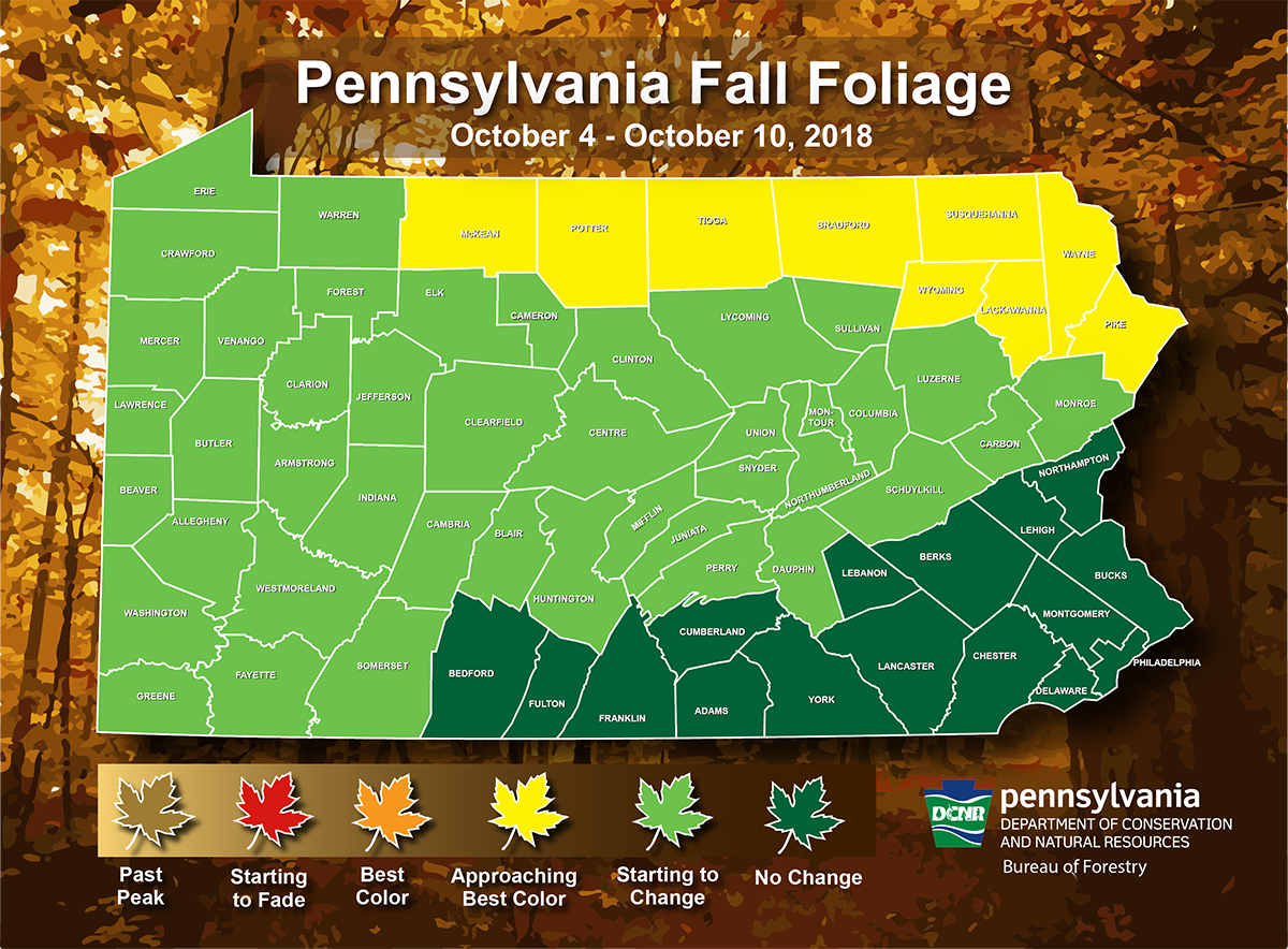 TCI_Lackawanna (TCI_Lackawanna) Twitter