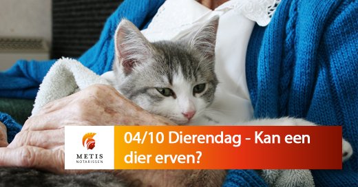 4 oktober- Dierendag, de dag om uw huisdier nóg meer te verwennen. Maar wat gebeurt er met uw trouwe maatje na uw overlijden? Metis Notarissen adviseert en begeleidt u graag inzake uw nalatenschap. Lees het volledige artikel op onze website: bit.ly/2QpvBtC