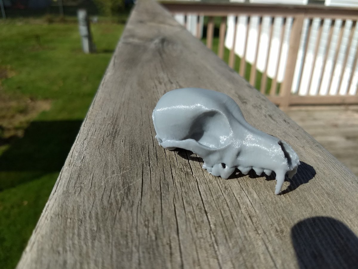 JAW966's tweet photo. Printed using @3DSolutech grey at .2 layer height. Not perfect but a good start for the new firmware. https://t.co/RO28DJ1BeE