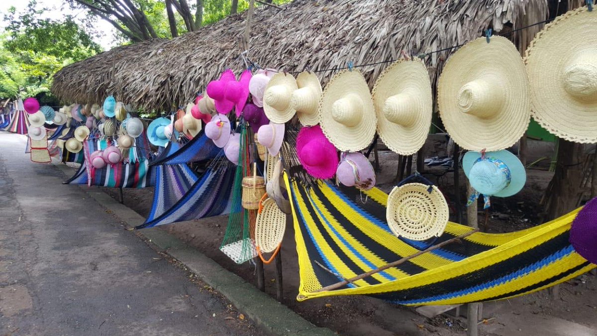JuanOrlandoH's tweet photo. Productos elaborados de junco y de palma hechos por manos #PatePluma que ofrecen a los miles de turistas que abarrotan Santa Bárbara esta #SemanaMorazánica: No deje de traerse un recuerdo y apoye a nuestros artesanos #ElGiganteDelTurismo https://t.co/0wfmaoc5xK