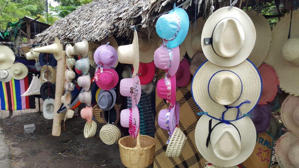 JuanOrlandoH's tweet photo. Productos elaborados de junco y de palma hechos por manos #PatePluma que ofrecen a los miles de turistas que abarrotan Santa Bárbara esta #SemanaMorazánica: No deje de traerse un recuerdo y apoye a nuestros artesanos #ElGiganteDelTurismo https://t.co/0wfmaoc5xK