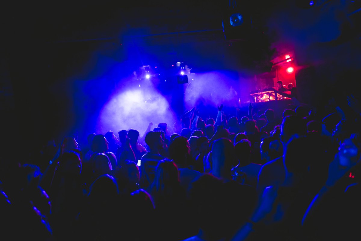 Festival earplugs tweet media