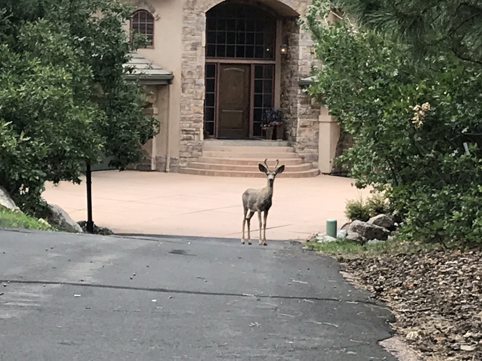 Fran Fraschilla on Twitter 