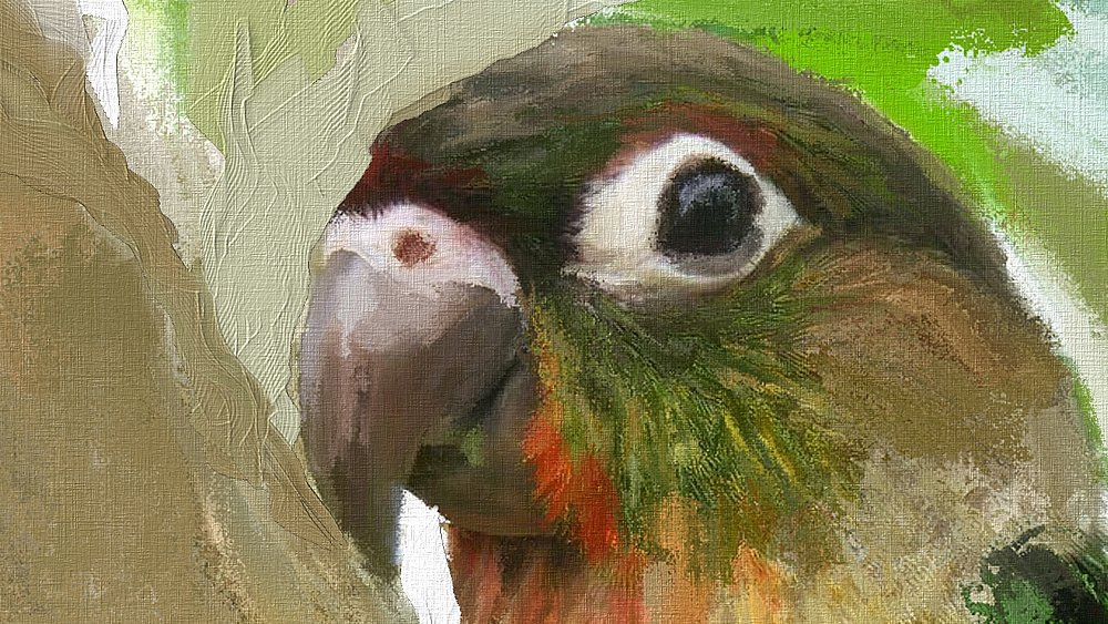 wittytree's tweet image. Today i painted oil painting parrot, without digital pen, use mouse, natural painting, thousands of brushes, various effects, combined with many changes, angle, speed, rotation, direction, Infiltration, canvas paper, material, texture, light, reflection, surface undulations