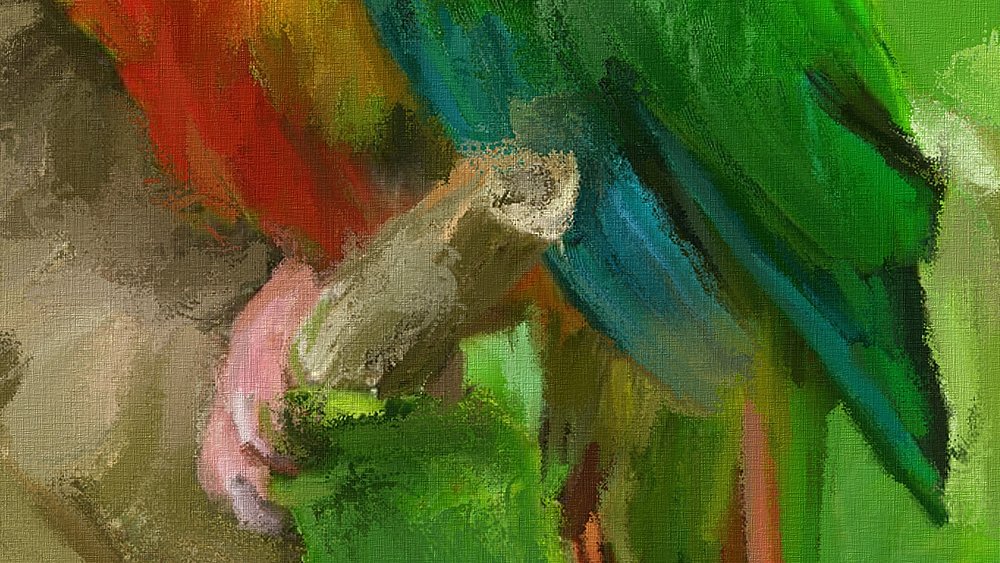 wittytree's tweet image. Today i painted oil painting parrot, without digital pen, use mouse, natural painting, thousands of brushes, various effects, combined with many changes, angle, speed, rotation, direction, Infiltration, canvas paper, material, texture, light, reflection, surface undulations