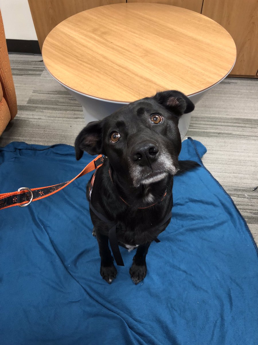 OSUTeach's tweet photo. June wants to know...are you coming to see her today? #osuteach https://t.co/spQ3XnemQL