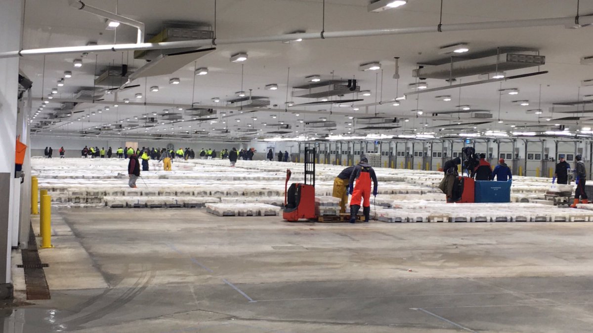 lowstraditional's tweet image. We had an absolute blast this morning visiting Peterhead Market with @seafishuk! Thanks guys!