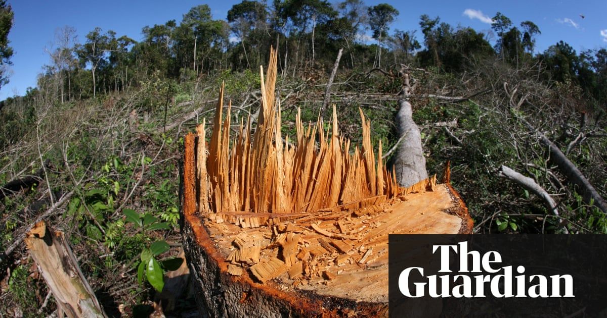 ClimateCentral's tweet photo. Scientists say halting deforestation "just as urgent" as reducing emissions https://t.co/qgWBq1bRQF via @guardian https://t.co/PTsEJD6B4d