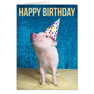 <a href="/SamHeughan/">Sam Heughan</a> <a href="/caitrionambalfe/">Caitríona Balfe</a> <a href="/caitrionambalfe/">Caitríona Balfe</a> 🐷Happy Birthday, Cait, from the White Sow on Fraser's Ridge. Here's one of my favorite piglets to sing 🎶 to you. (No, I did NOT eat this one afterwards!)    youtu.be/06ZUcrRJW7g