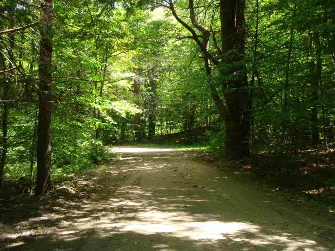 darleneconca's tweet photo. I would love to show you my #listing at 00 Chaffee Valley Road #Westminster #VT  #realestate https://t.co/XTRg9vHZ3L https://t.co/HPUY7vtqzN