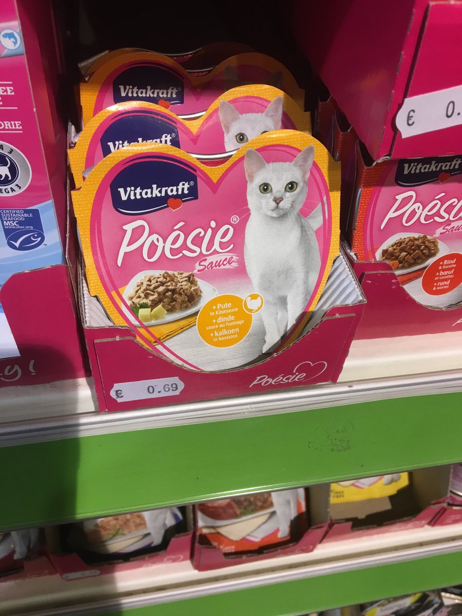 Make that the cat wise...😂😂