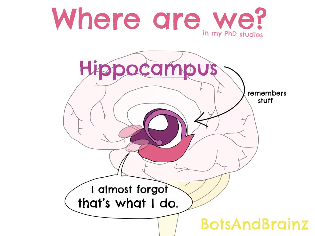 BotsAndBrainz's tweet photo. The Unforgettable Story of the Man who could not Remember
It started with a bike accident. Not even a decade later, a man had to live forever in the present moment. The story of the most important patient in neuroscience. https://t.co/JUFcF5lXQH https://t.co/AROJIsGURy