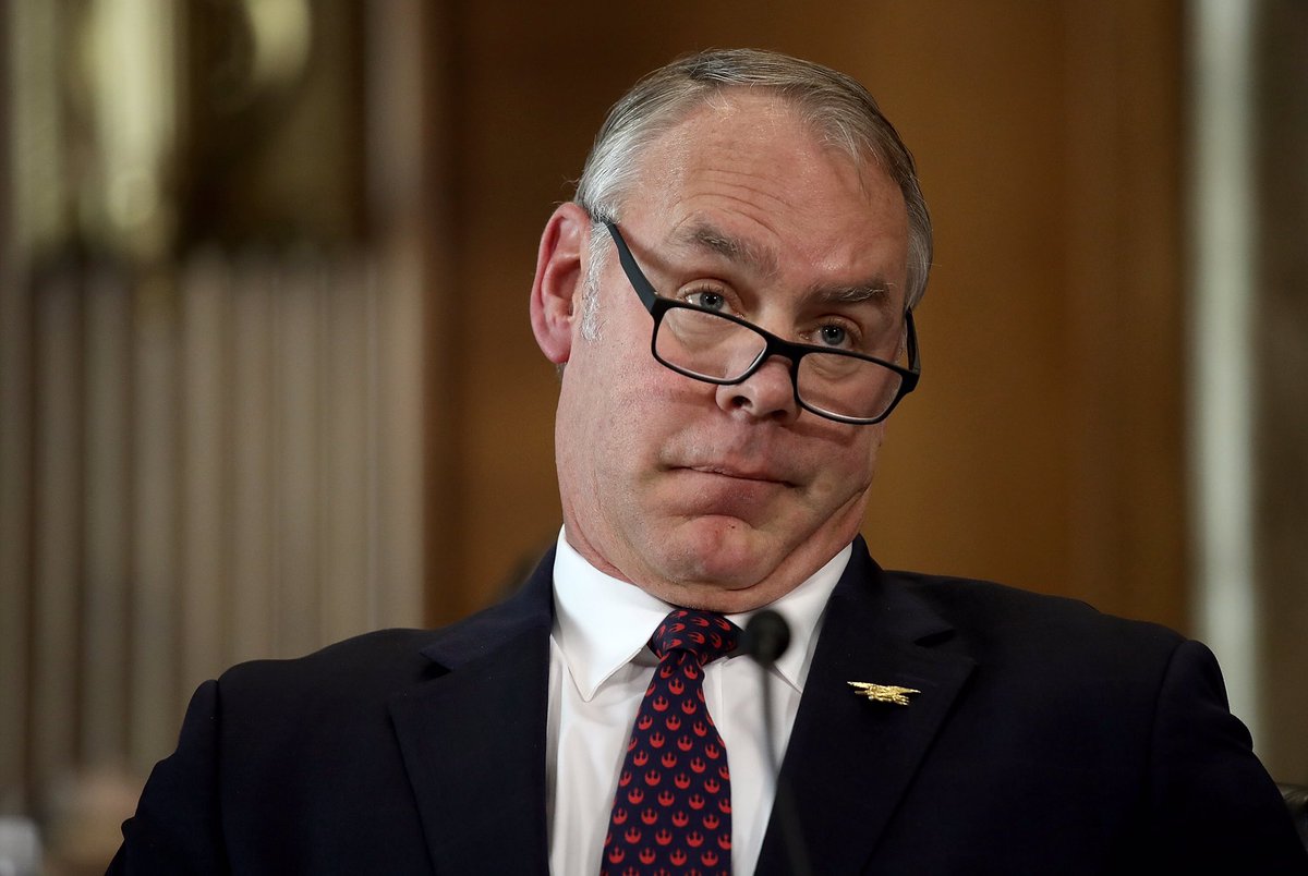 Jay O. Sanders as Ryan Zinke