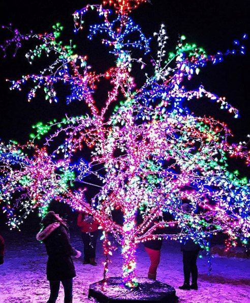 LSMagicTree's tweet photo. Has The Magic Tree been a part of your holiday celebrations? Send us pictures from years past using #LSMagicTree and you could be featured on our site and social! πΈ: #kaleidoscopespinning https://t.co/PFKFxyrCKa
