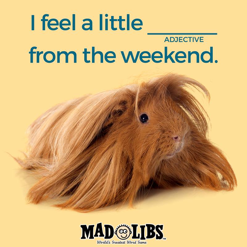 MadLibs's tweet photo. Another weekend has passed, but Mad Libs is forever! Take it with you with our app: https://t.co/a1zHJychM3 https://t.co/3pExyokZyr