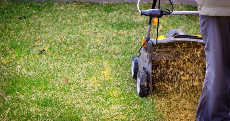 troyfivestar's tweet image. If you notice your #yard dries out quickly or has a sort of spongy feel when you walk on it, your #lawn is likely suffering from excessive thatch, and #aerating can help with that. fivestarlandscaping.ca/does-it-make-s…