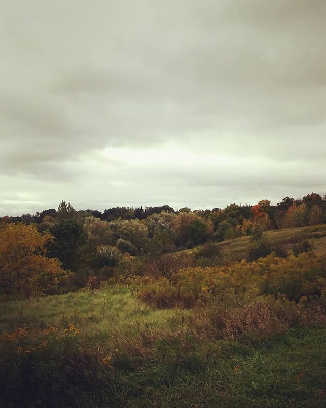 Lisa Murphy tweet media