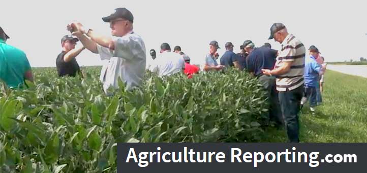 TPSL_Since1938's tweet photo. Meet some Brazilian #farmers who are able to sell more #soybeans due to the US #trade war with #China by watching this WCIA 3 report by Stu Ellis!
https://t.co/RESalZrtZV
https://t.co/bTXQYyXVEI
#tpsl #ag #cornbelt #aglab #agriculture #Agronomics #Farm #Farming #Brazil #tariffs https://t.co/4Ttj0JU5bb