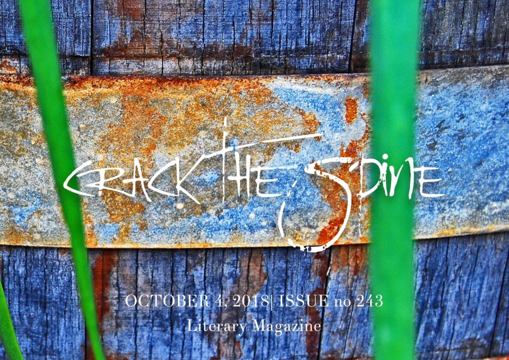 CrackTheSpine's tweet photo. Crack the Spine Issue 243 is now available!

https://t.co/nKMFr56Kva

#poetry #shortstories #fiction #essays #art #literary #magazine https://t.co/y6llk1CRAs