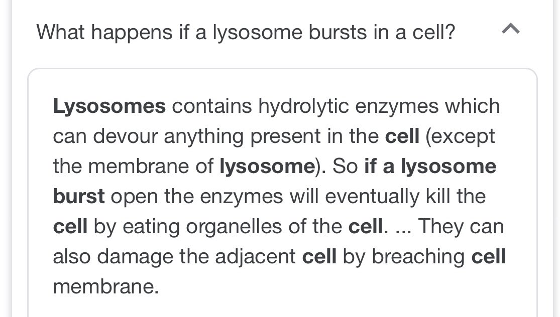 GGolgi1's tweet photo. @LYSOZONE_bois you hate to see it. Gotta give the cell membrane some credit I guess #cellwarsMrsS18_07 https://t.co/1FrOMLkObQ