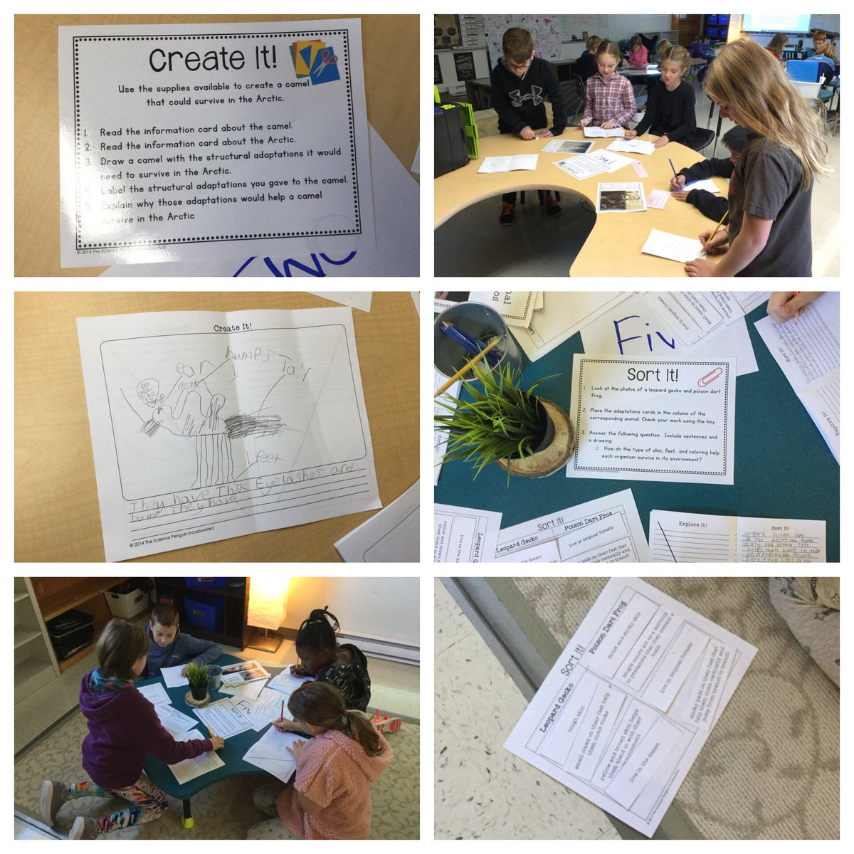 mrs_rfriesen's tweet photo. Having a blast in science these last few days! Our time is filled with exploring geographical regions and how animals adapt to live in those regions @BlumenortHSD https://t.co/bB5lrIZ0Pf