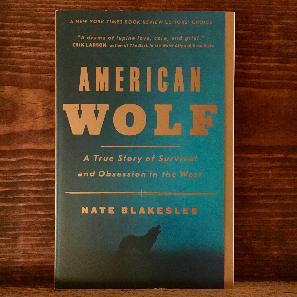 JaxDogBooks's tweet photo. The October pick for the PBS NewsHour/New York Times book club is "American Wolf" by Nate Blakeslee. #NowReadThis #PBSNewsHour #NewYorkTimes #BookClub #ShopSmall #IndieBookstore https://t.co/obNFsK4Hp3 https://t.co/1oJHAJbMpQ