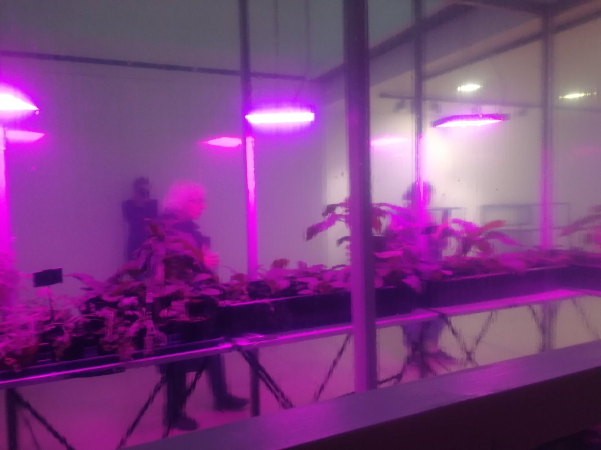 weareneon's tweet photo. At the opening of the first exhibition of this year's #neon2018, Spirit Molecule 1 at @LifeSpaceDundee! It's on from now, throughout NEoN til Jan. Come along and see the incredible work by @hdeweyh &amp; @P_A_LEWIS looking at an entirely new way of remembering: DIY plant technology! https://t.co/F6y4Avgs6Z