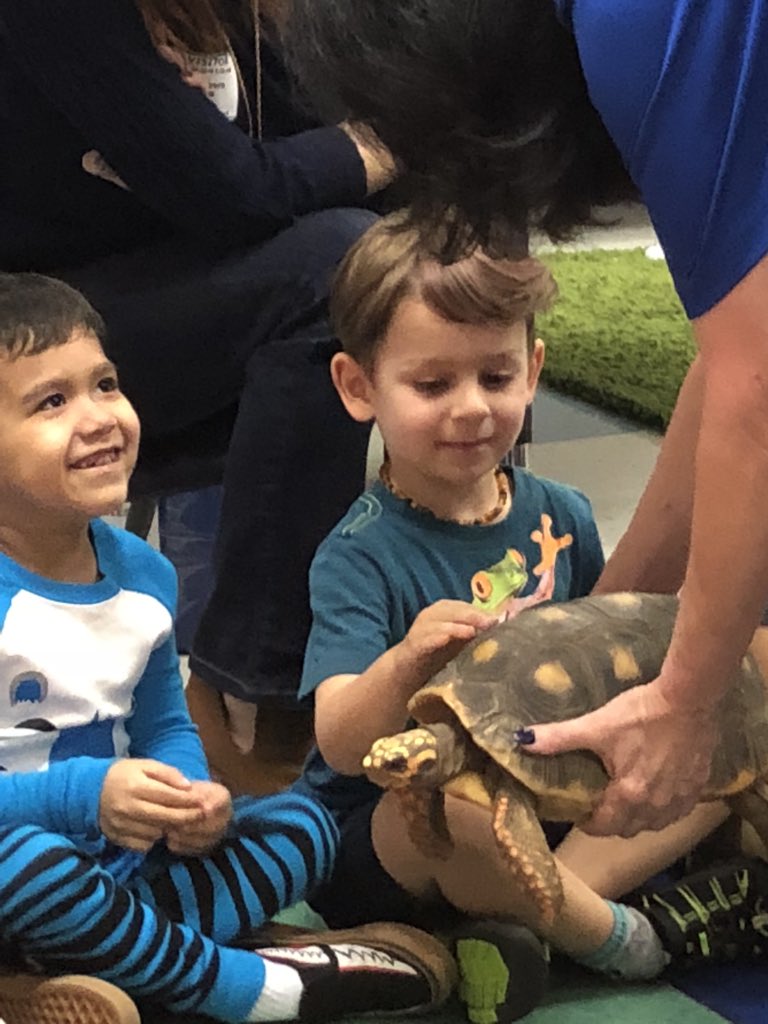 mcwilliams_joni's tweet photo. Awesome visitors to our PreK today! #we😆HoustonZoo    @OakForestES @HISDECH @houstonzoo https://t.co/FwWFktwX0o