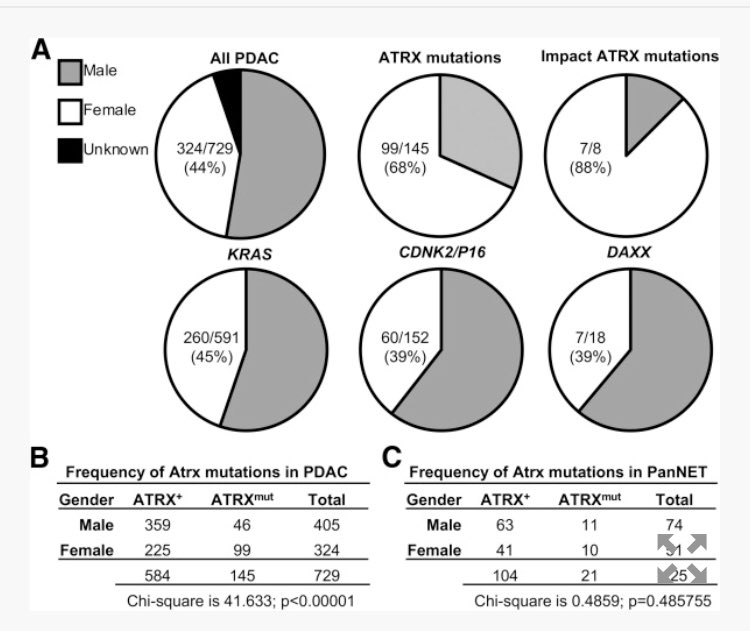 Anirban Maitra tweet media